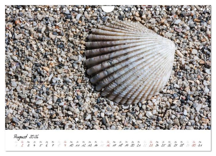Produktbild: Mauritius - Insel zum Durchatmen (Wandkalender 2026 DIN A4 quer), CALVENDO Monatskalender