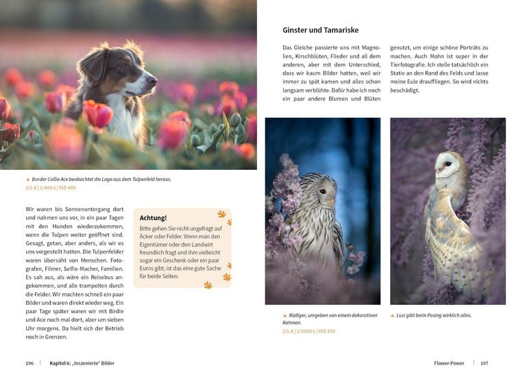 Produktbild: Tierische Momente fotografieren