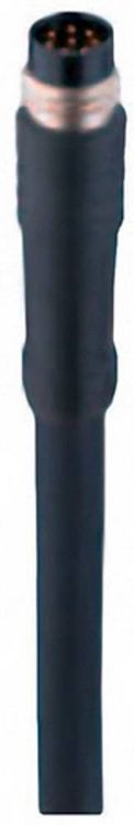 Produktbild: Belden 934636169-1 Sensor-/Aktor-Steckverbinder, konfektioniert M8 Stecker, gerade 2.00 m Polzahl Sensoren: 8 1 St.