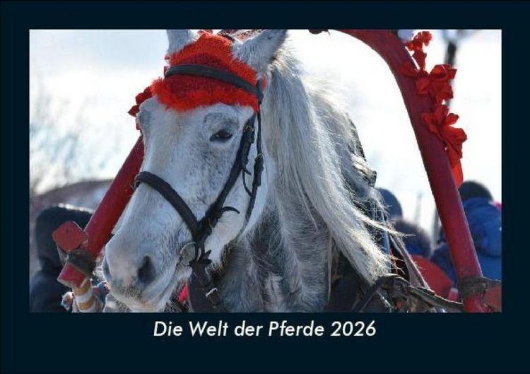 Produktbild: Die Welt der Pferde 2026 Fotokalender DIN A5
