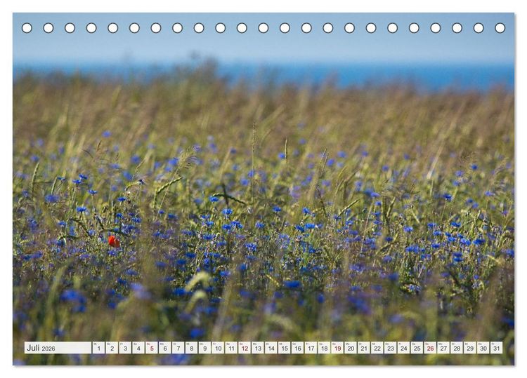 Produktbild: Feine Formen der Natur (Tischkalender 2026 DIN A5 quer), CALVENDO Monatskalender