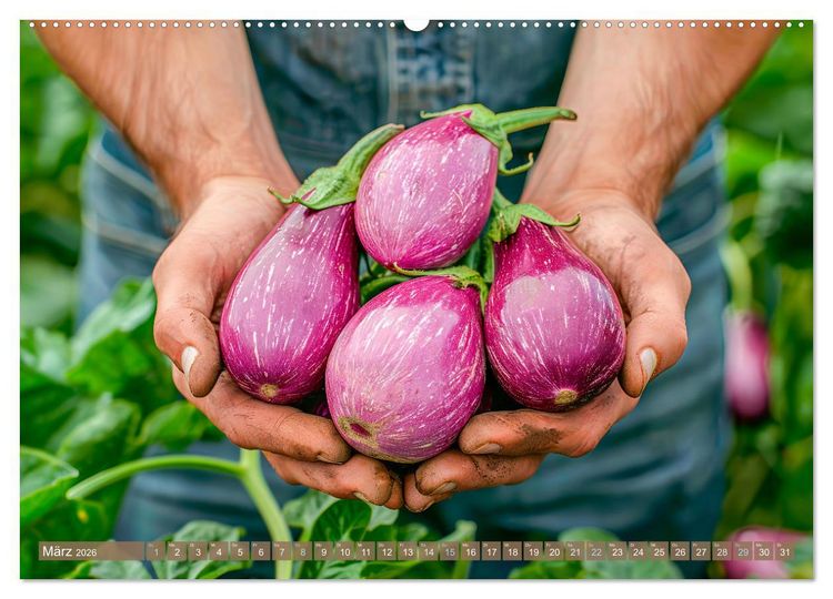 Produktbild: Mein Gem&uuml;segarten - Ein Jahr knackig frisches Gem&uuml;se (Wandkalender 2026 DIN A2 quer), CALVENDO Monatskalender
