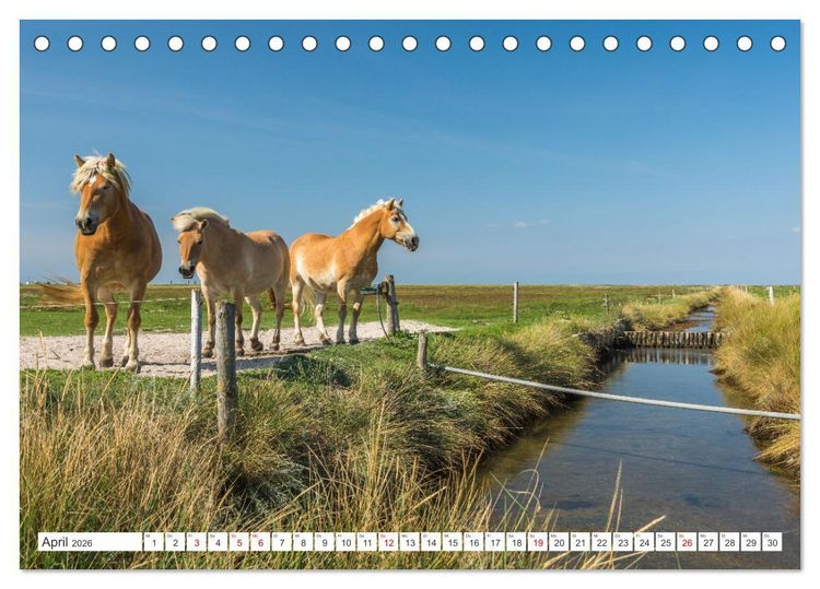 Produktbild: Schleswig-Holstein (Tischkalender 2026 DIN A5 quer), CALVENDO Monatskalender