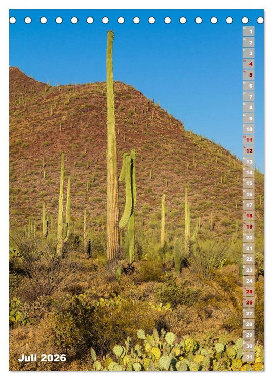 Produktbild: SAGUARO NATIONAL PARK W&uuml;stenimpressionen aus Arizona (Tischkalender 2026 DIN A5 hoch), CALVENDO Monatskalender