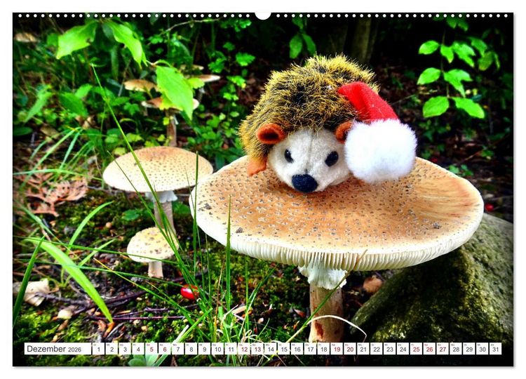 Produktbild: Pilz-Tiere (Wandkalender 2026 DIN A2 quer), CALVENDO Monatskalender