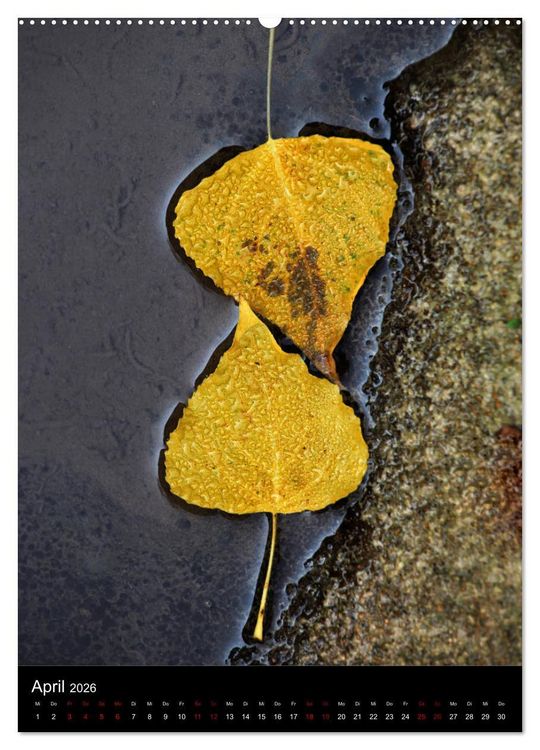Produktbild: NATUREART - KUNST IN DER NATUR (Wandkalender 2026 DIN A2 hoch), CALVENDO Monatskalender
