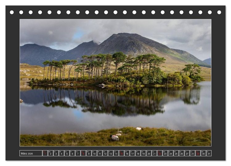 Produktbild: IRLAND - Insel der gl&uuml;cklichen Schafe (Tischkalender 2026 DIN A5 quer), CALVENDO Monatskalender