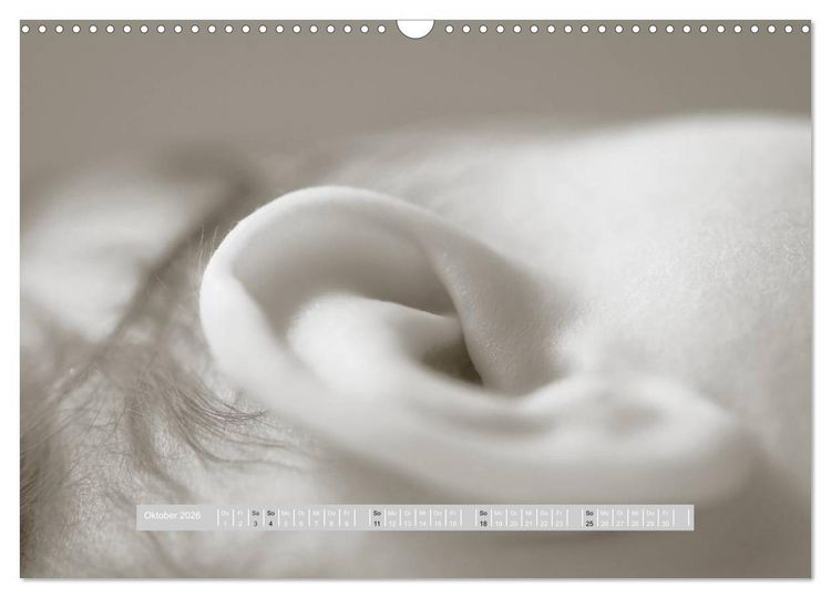 Produktbild: ...so winzig - Babykalender (Wandkalender 2026 DIN A3 quer), CALVENDO Monatskalender
