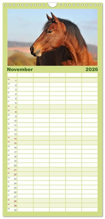 Produktbild: Familienplaner 2026 - Welt der Pferde mit 5 Spalten (Wandkalender, 21 x 45 cm) CALVENDO