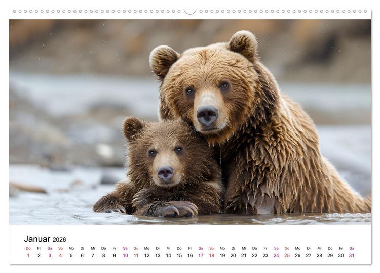 Produktbild: B&auml;ren - gef&auml;hrlich nett (Wandkalender 2026 DIN A2 quer), CALVENDO Monatskalender