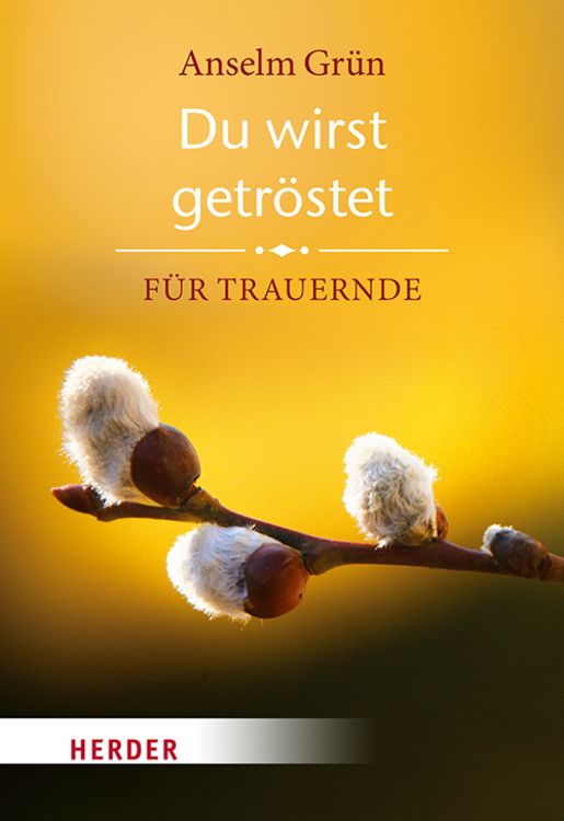 Produktbild: Du wirst getr&ouml;stet