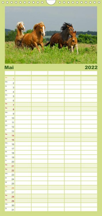 Produktbild: Welt der Pferde - Familienplaner hoch (Wandkalender 2022 , 21 cm x 45 cm, hoch)