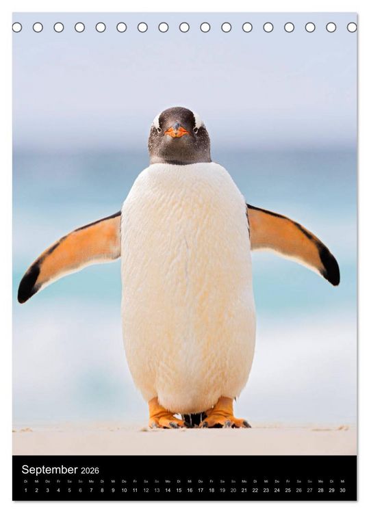 Produktbild: Hallo Pinguin (Tischkalender 2026 DIN A5 hoch), CALVENDO Monatskalender