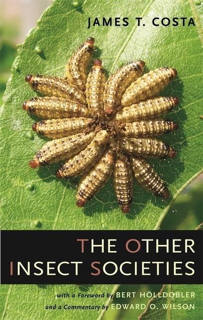 Produktbild: Costa, J: The Other Insect Societies