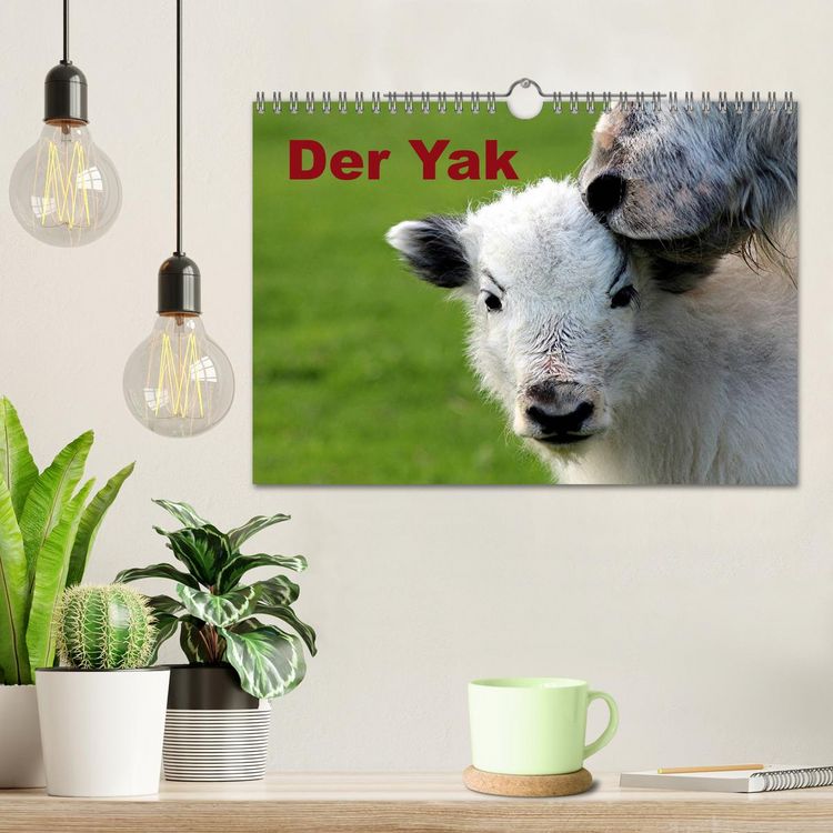 Produktbild: Der Yak (Wandkalender 2026 DIN A4 quer), CALVENDO Monatskalender