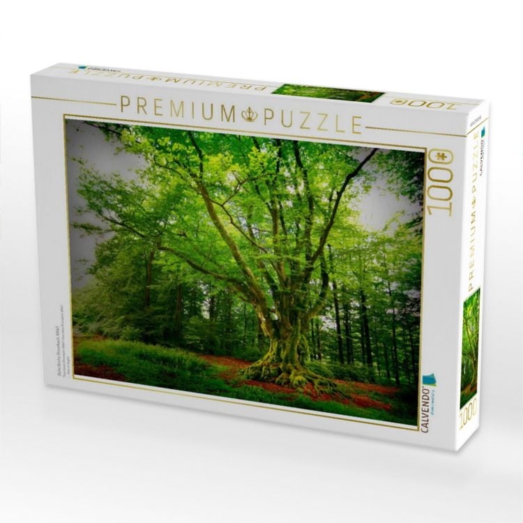 Produktbild: CALVENDO Puzzle Dicke Buche (Krombach, NRW) | 1000 Teile Lege-Gr&ouml;&szlig;e 64x48cm Foto-Puzzle f&uuml;r gl&uuml;ckliche Stunden