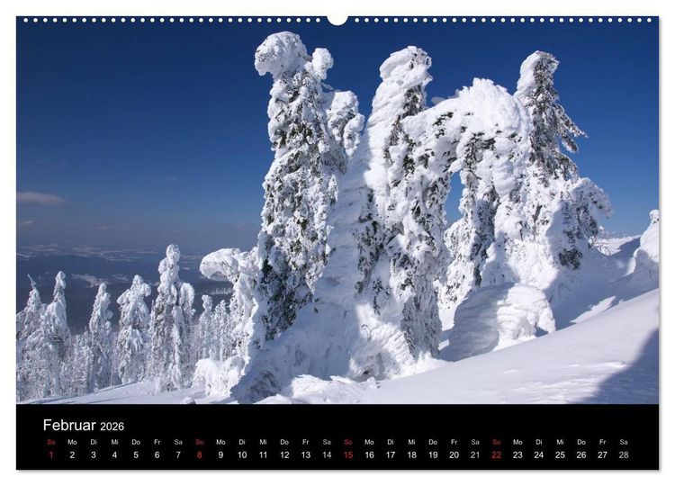 Produktbild: Bayerischer Wald - der Osten Bayerns (Wandkalender 2026 DIN A2 quer), CALVENDO Monatskalender