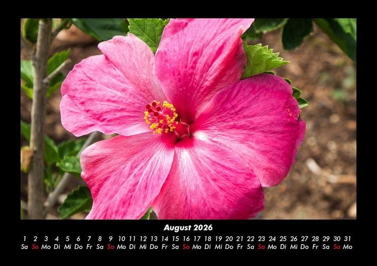 Produktbild: Blumentraum 2026 Fotokalender DIN A3