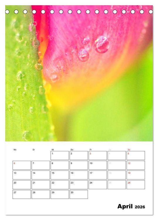 Produktbild: Zauberhafte Bl&uuml;tenwelt / Planer (Tischkalender 2026 DIN A5 hoch), CALVENDO Monatskalender