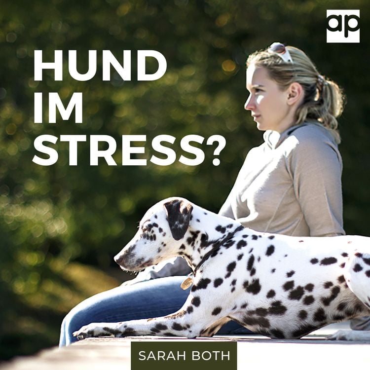 Produktbild: Hund im Stress? Entspannter Hund - Entspannter Alltag
