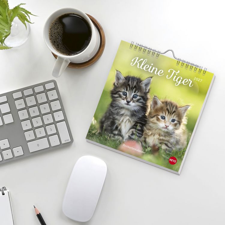 Produktbild: Katzen Postkartenkalender Kleine Tiger 2027