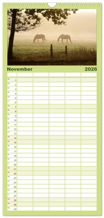 Produktbild: Familienplaner 2026 - Faszination Pferde mit 5 Spalten (Wandkalender, 21 x 45 cm) CALVENDO