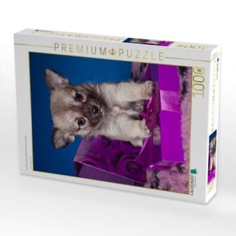 Produktbild: CALVENDO Puzzle Ein Motiv aus dem Kalender Chihuahua Welpen | 1000 Teile Lege-Gr&ouml;&szlig;e 64x48cm Foto-Puzzle f&uuml;r gl&uuml;ckliche Stunden