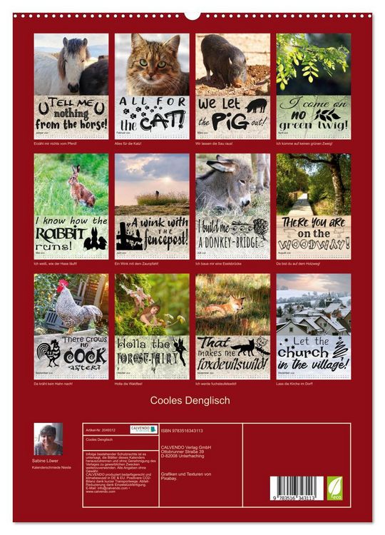 Produktbild: Cooles Denglisch (hochwertiger Premium Wandkalender 2026 DIN A2 hoch), Kunstdruck in Hochglanz