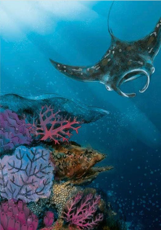 Produktbild: Wunderwelt der Tiere im Meer - Gelesen von Jakob Graf