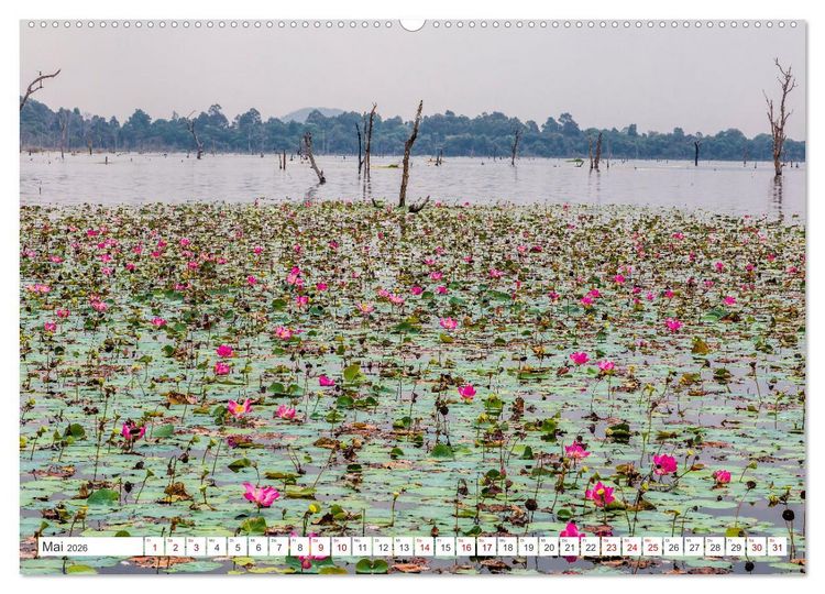 Produktbild: Siem Reap Stadt der Tempel Kambodscha (Wandkalender 2026 DIN A2 quer), CALVENDO Monatskalender