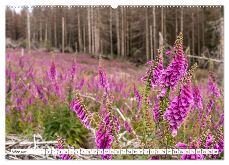Produktbild: Deutschlands Regionen - der Harz (hochwertiger Premium Wandkalender 2027 DIN A2 quer), Kunstdruck in Hochglanz