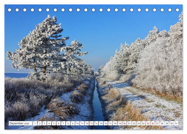 Produktbild: ST. PETER ORDING Strand und Meer (Tischkalender 2026 DIN A5 quer), CALVENDO Monatskalender
