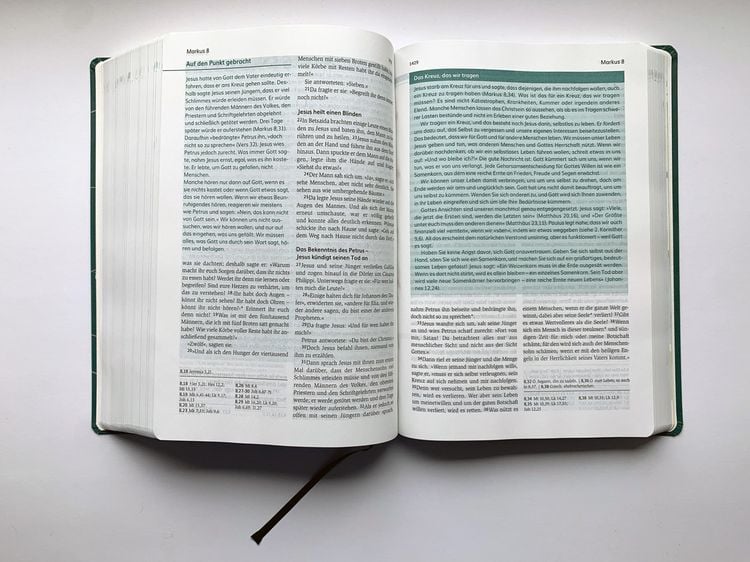 Produktbild: Die Bibel mit Impulsen von Joyce Meyer