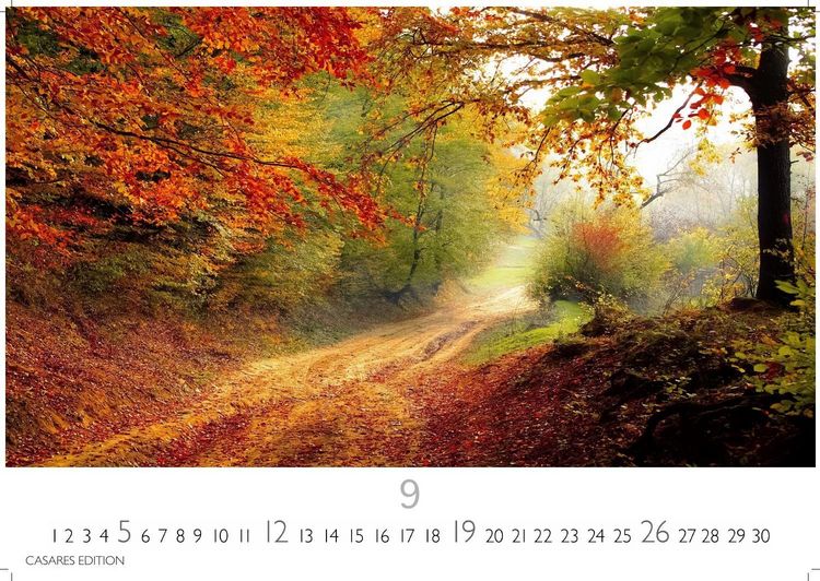 Produktbild: Wald & Natur Kalender 2027 &ndash; Wandkalender | Fotokalender Naturkalender Gro&szlig;format 35x50cm - Nat&uuml;rliche Sch&ouml;nheit & Ruhe f&uuml;r jeden Monat .
