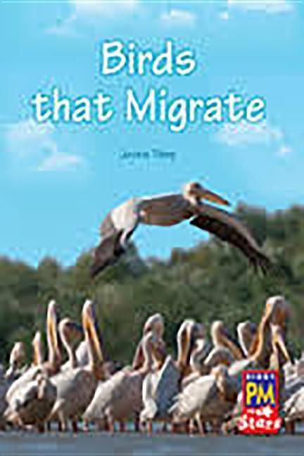 Produktbild: Birds That Migrate