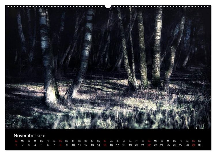 Produktbild: Mystische W&auml;lder (hochwertiger Premium Wandkalender 2026 DIN A2 quer), Kunstdruck in Hochglanz