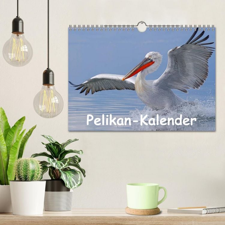 Produktbild: Pelikan-Kalender (Wandkalender 2026 DIN A4 quer), CALVENDO Monatskalender