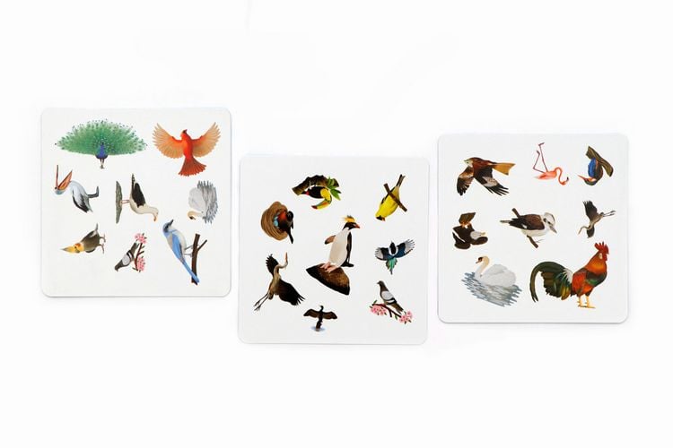 Produktbild: Finde den Vogel