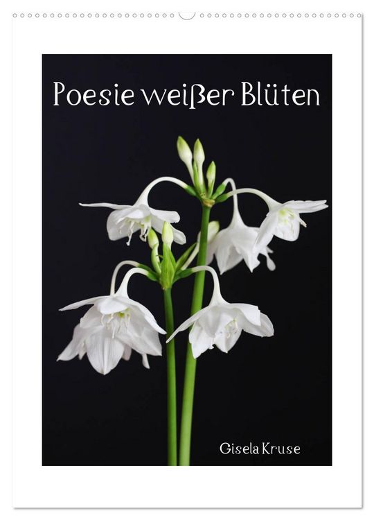 Produktbild: Poesie wei&szlig;er Bl&uuml;ten (Wandkalender 2026 DIN A2 hoch), CALVENDO Monatskalender