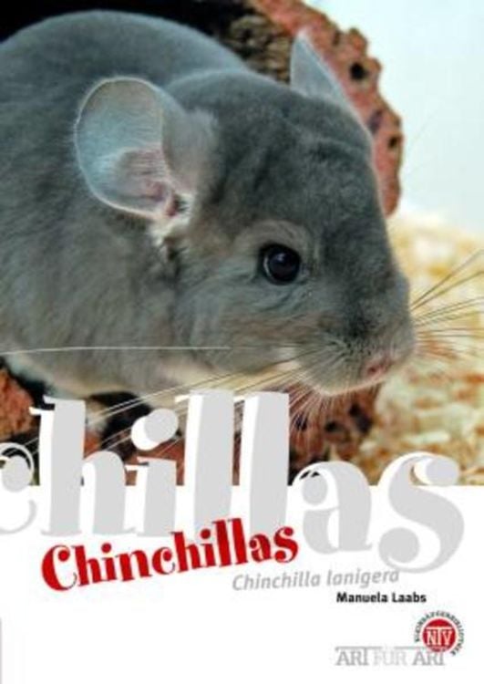 Produktbild: Chinchillas