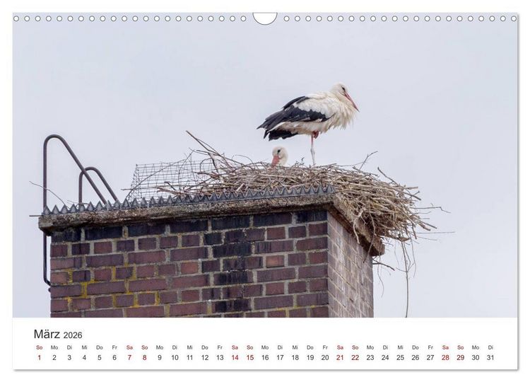 Produktbild: Schrobenhausen - Lenbachstadt im Spargelland (Wandkalender 2026 DIN A3 quer), CALVENDO Monatskalender