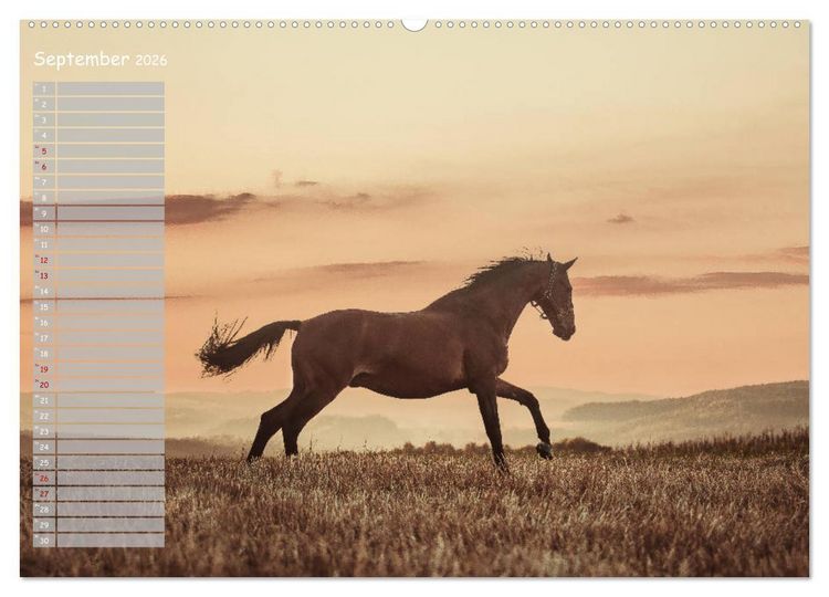 Produktbild: Pferde - Spiegel deiner Seele (hochwertiger Premium Wandkalender 2026 DIN A2 quer), Kunstdruck in Hochglanz
