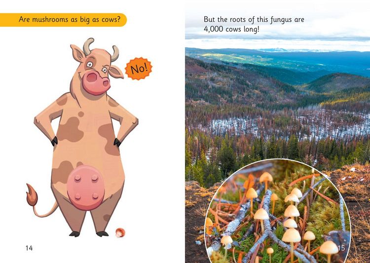 Produktbild: How far in cows?