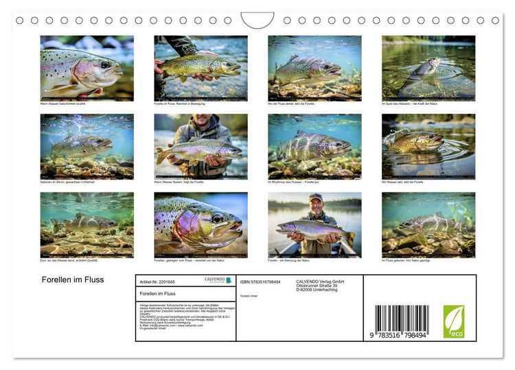 Produktbild: Forellen im Fluss (Wandkalender 2027 DIN A4 quer), CALVENDO Monatskalender