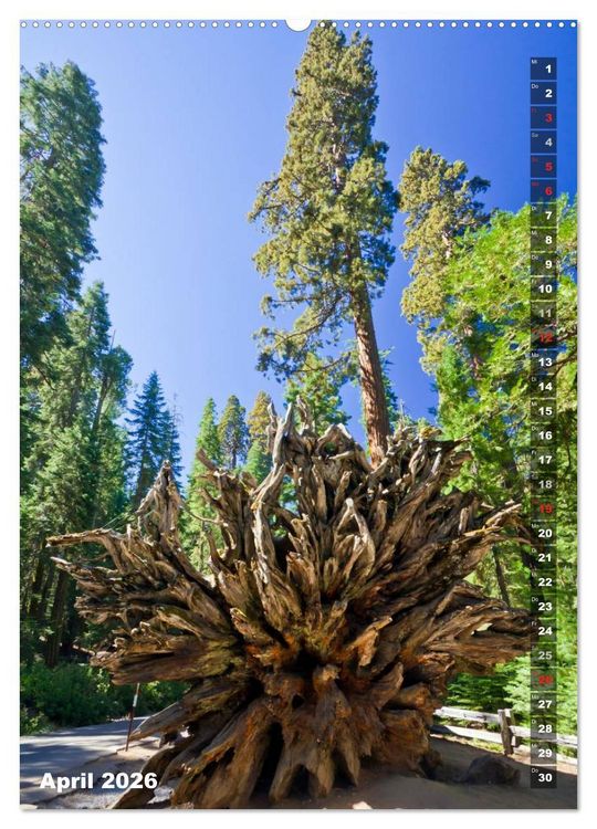 Produktbild: YOSEMITE VALLEY Natur Pur (hochwertiger Premium Wandkalender 2026 DIN A2 hoch), Kunstdruck in Hochglanz