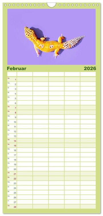 Produktbild: Familienplaner 2026 - Reptilien - Tierische Farbenpracht mit 5 Spalten (Wandkalender, 21 x 45 cm) CALVENDO