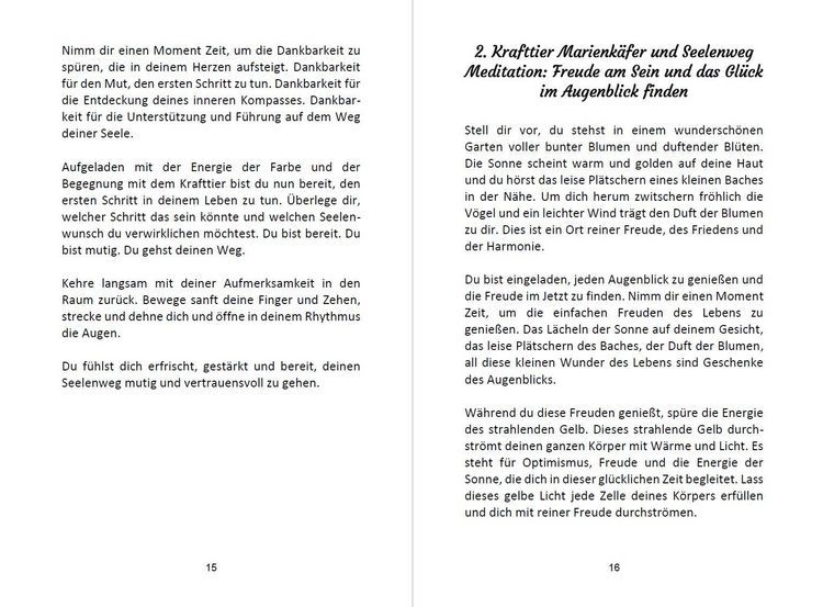Produktbild: 52 Seelenweg und Krafttier Meditationen