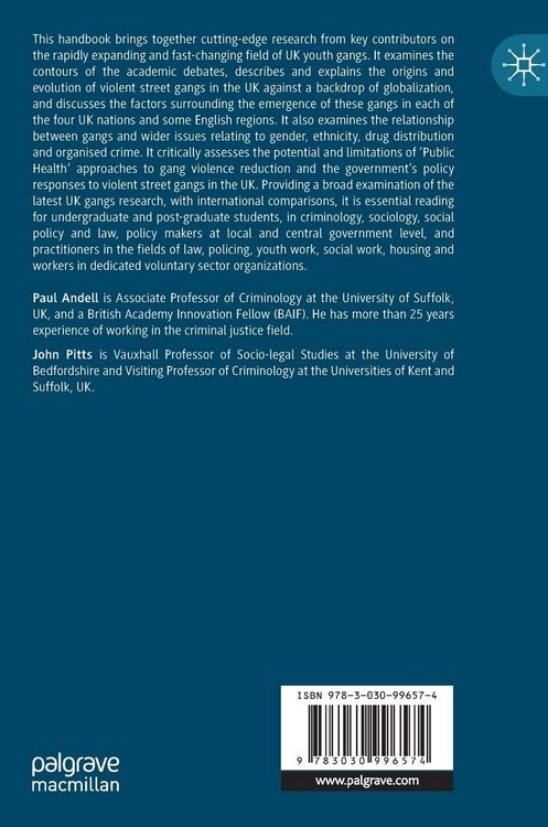 Produktbild: The Palgrave Handbook of Youth Gangs in the UK