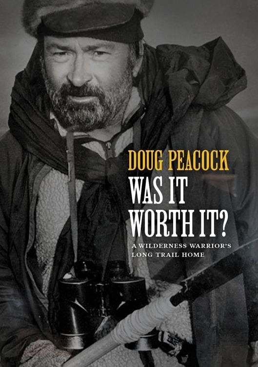Produktbild: Was It Worth It?