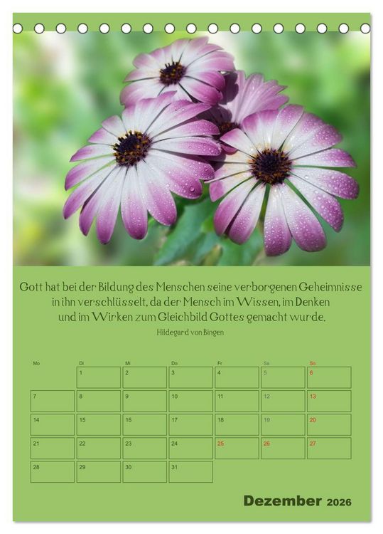 Produktbild: Erkenntnis und Weisheit - Hildegard von Bingen (Tischkalender 2026 DIN A5 hoch), CALVENDO Monatskalender